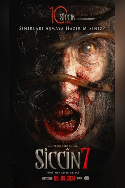 SICCIN 7