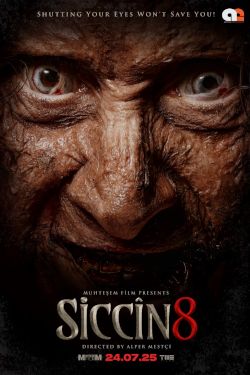SICCIN 8